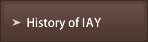 History of IAY